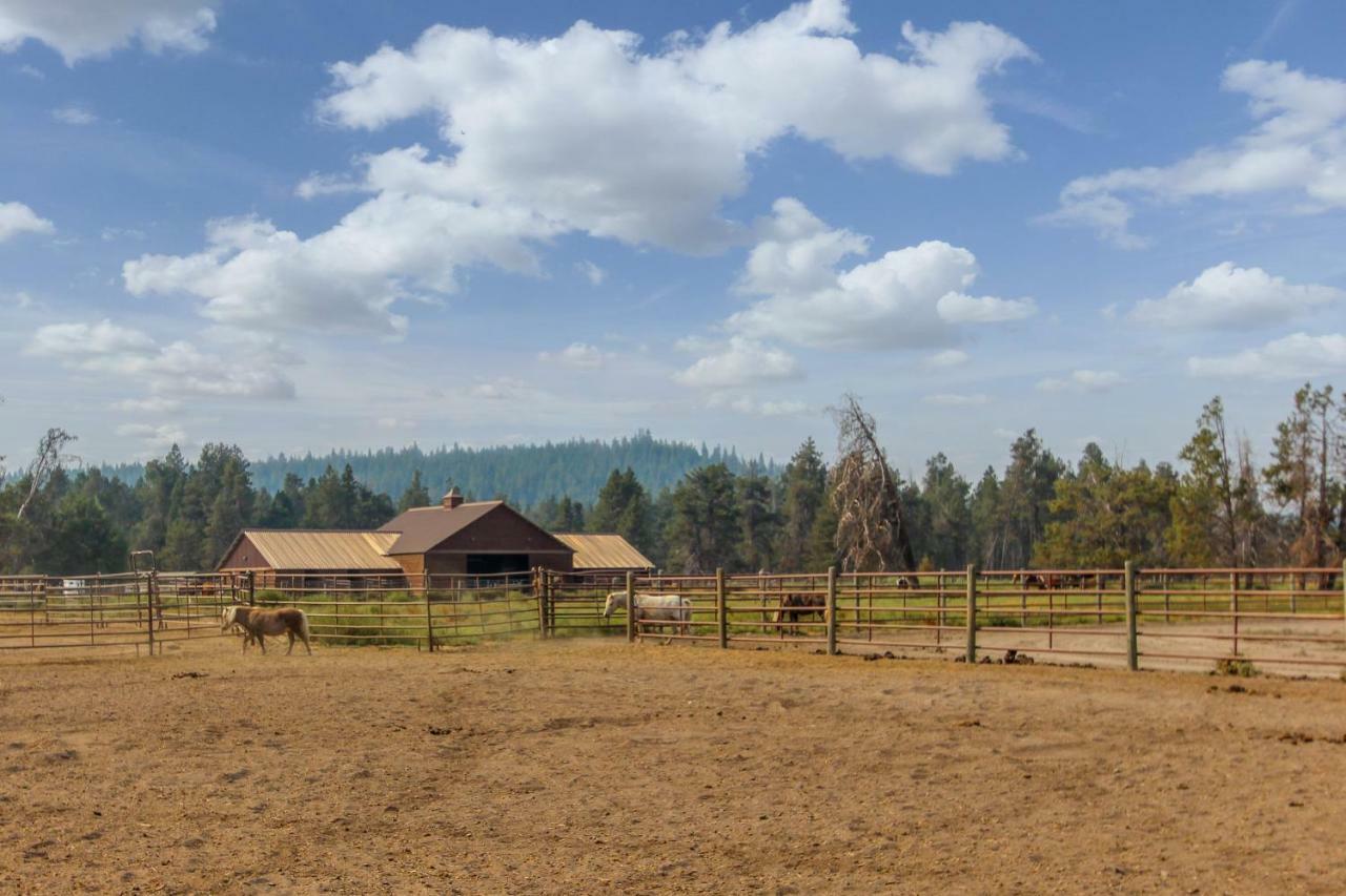 Circle 4 Ranch 25 | Discover 森赖弗 外观 照片